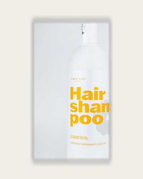 Шампунь для сухого типа волос Hair Shampoo 400 мл — упаковка